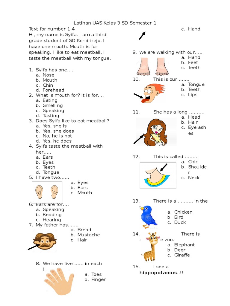 Terbukti 7 Tips Latihan Soal UAS Bahasa Inggris Kelas 3 SD untuk Nilai Meningkat Seketika Terbukti 7 Tips Latihan Soal UAS Bahasa Inggris Kelas 3 SD untuk Nilai Meningkat Seketika